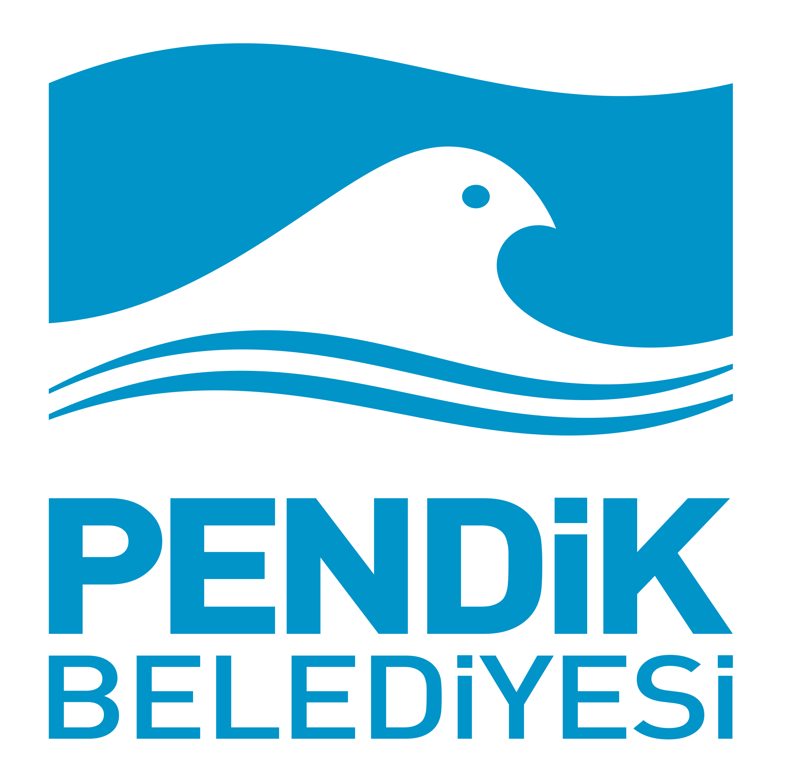 Pendik Belediyesi